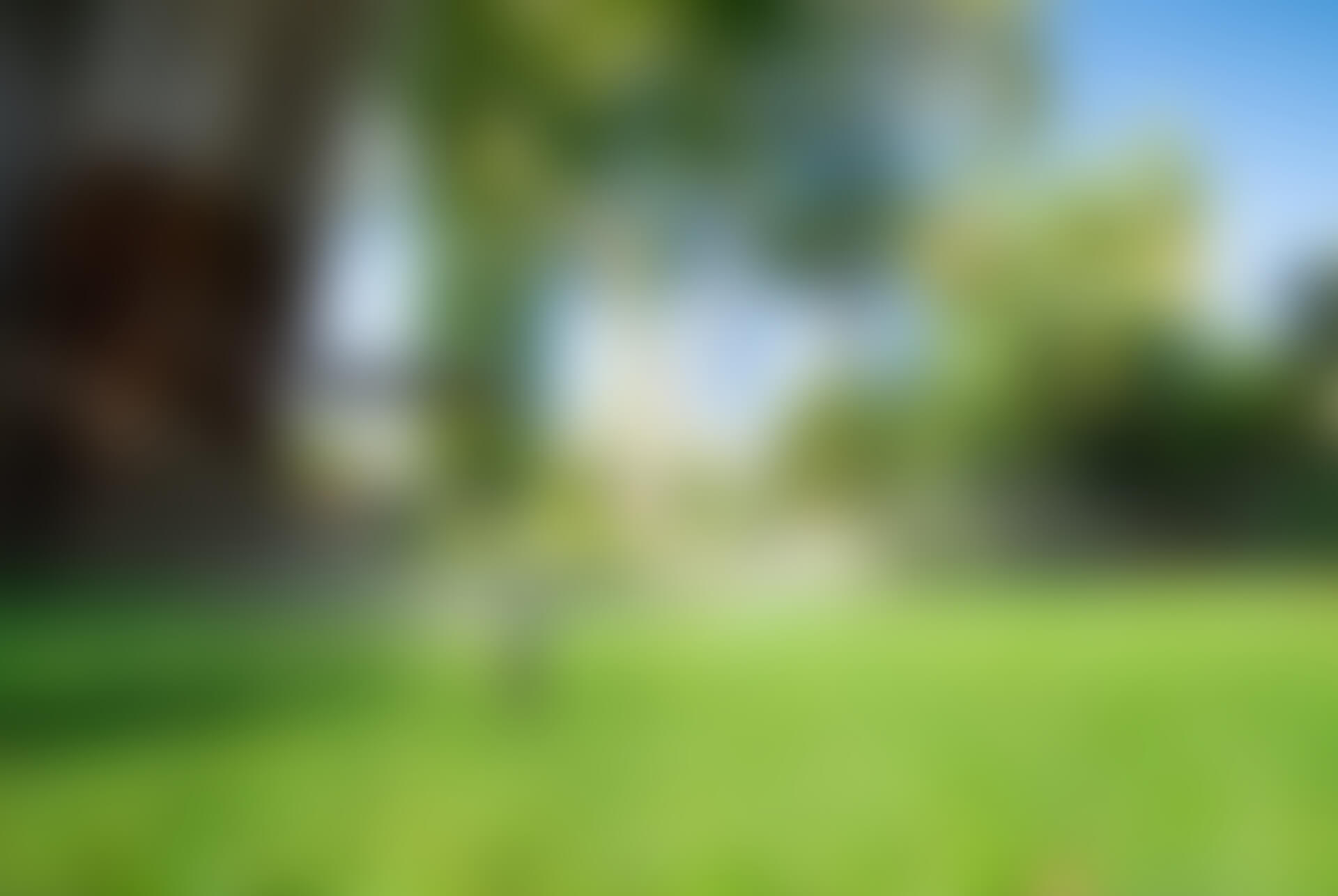 GNL-background