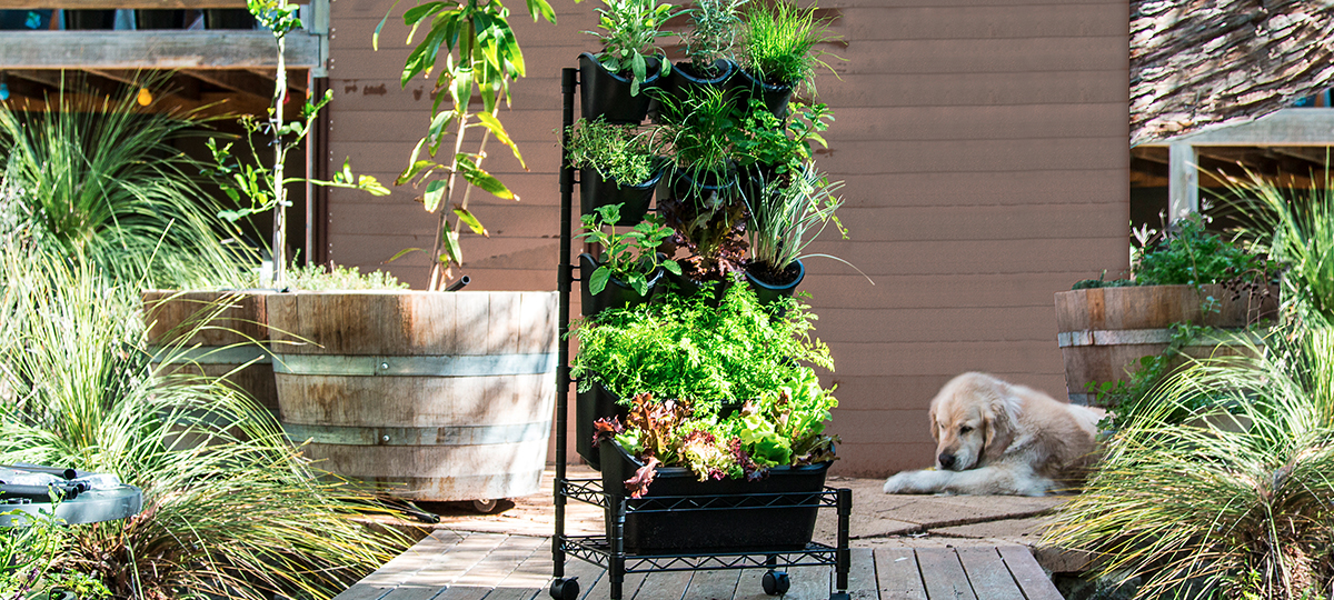 Holman_Renting_Mobile GreenWall