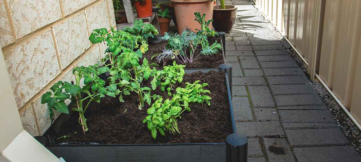 Holman_Renting_Raised Garden Beds