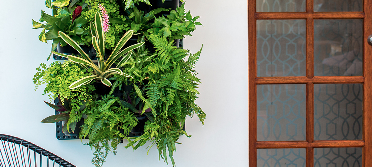Holman_Renting_Vertical GreenWall Range