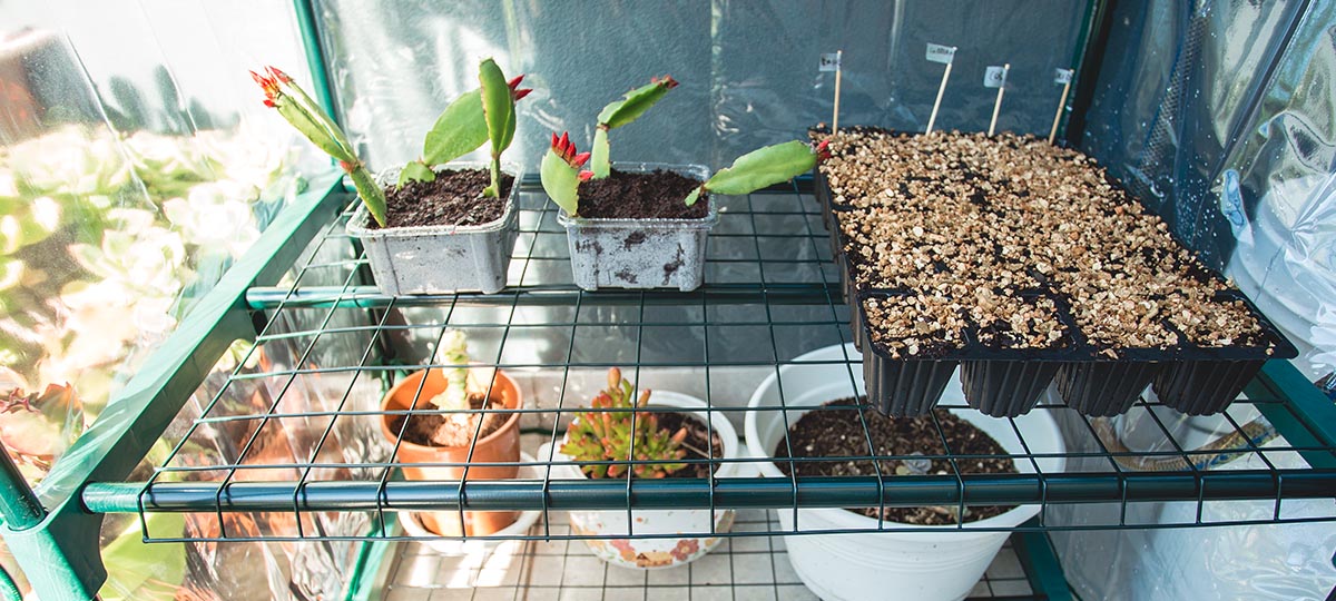 2-4-Tier Greenhouse