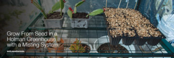 Grow From Seed in a Holman Greenhouse with a Misting System