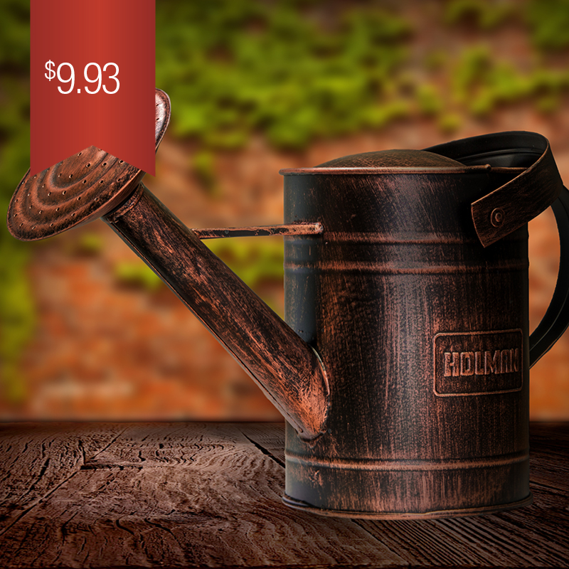 Christmas Gifts Watering Can