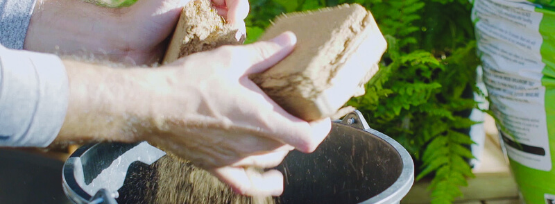 coir-peat-2