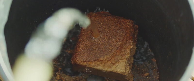 coir-peat-3