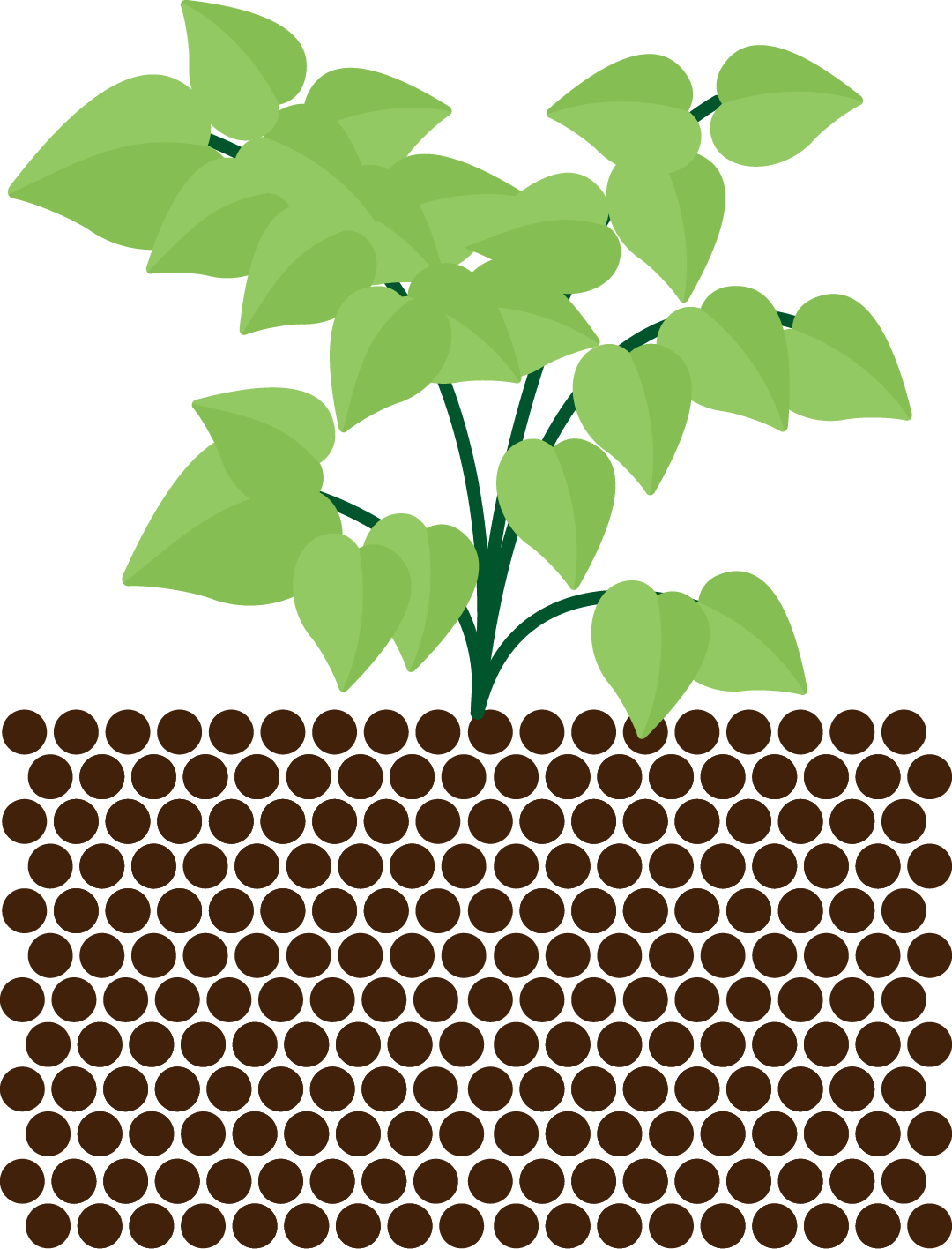 Loam Diagram