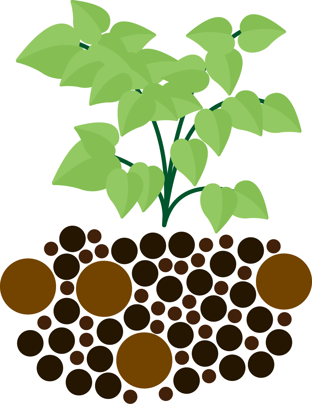 Loam Diagram