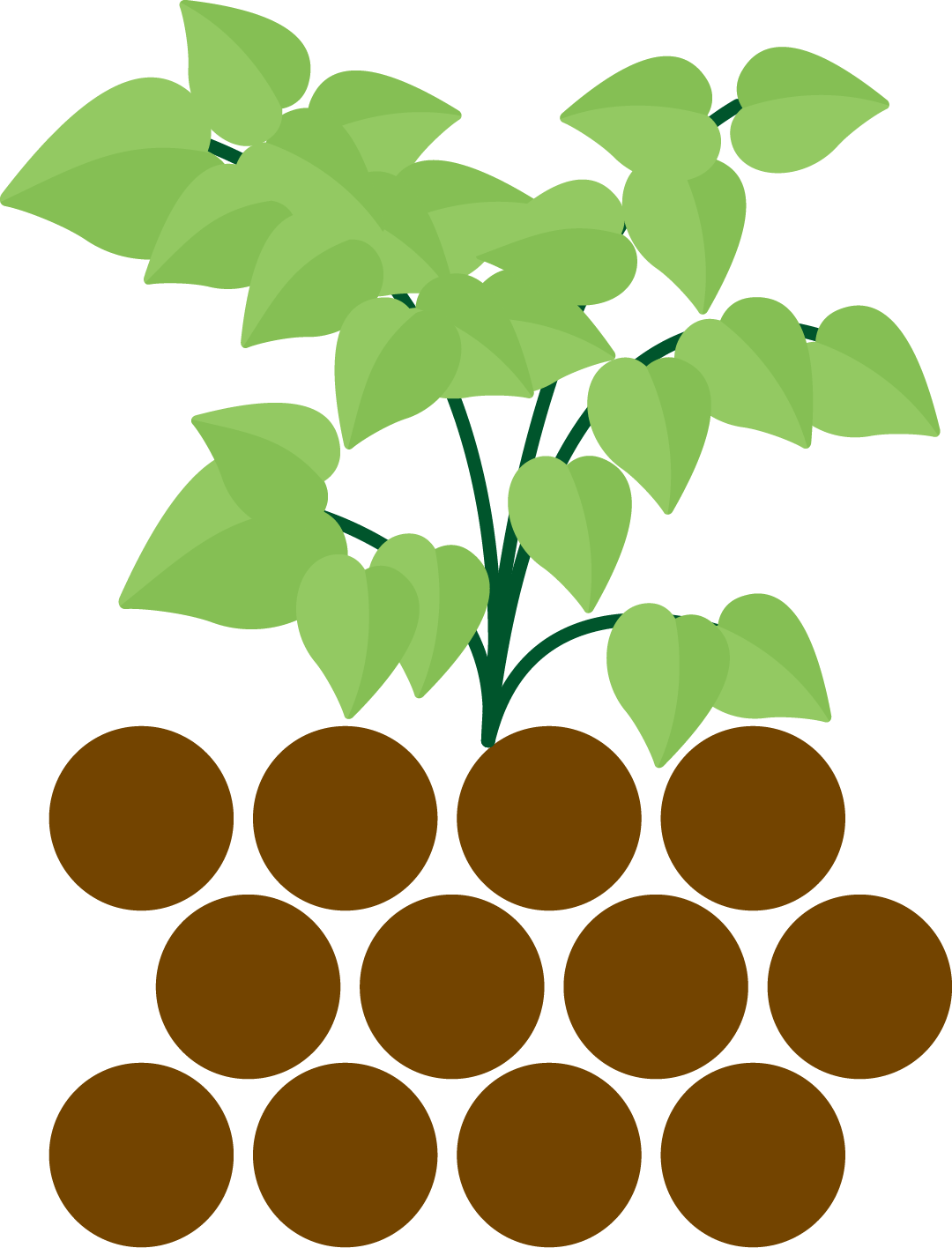 Loam Diagram