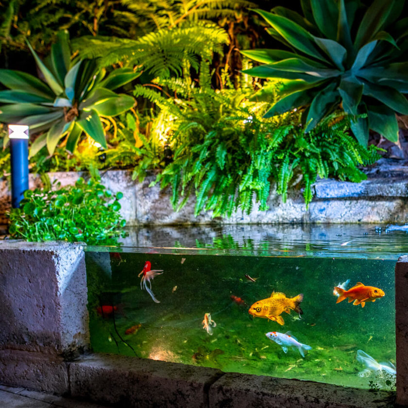 DIY Outdoor Lighting Designs Holman Industries