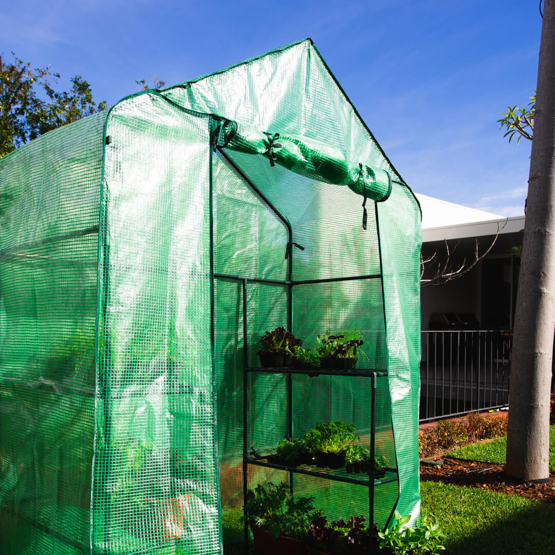 GH1001 Walk in Greenhouses