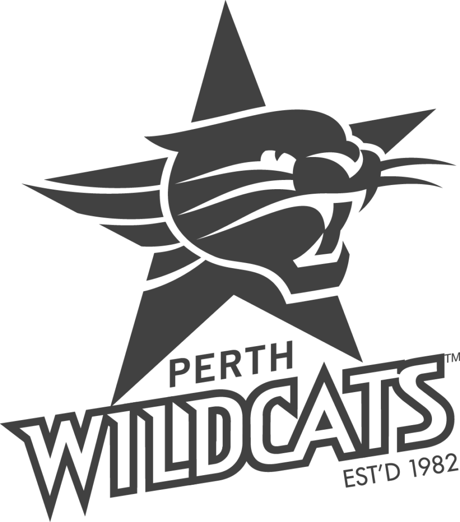 wildcats-announcement-logo-holman