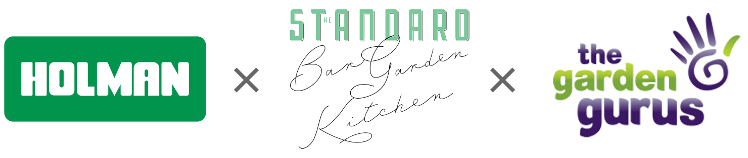 standard-colab