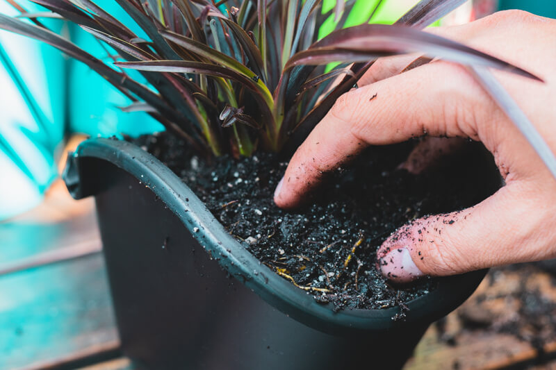 connect-a-pot-planting