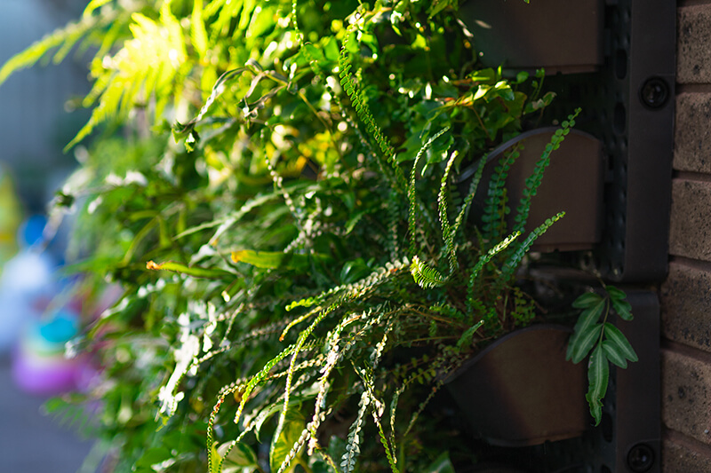holman-greenwall-vertical-planting-kit