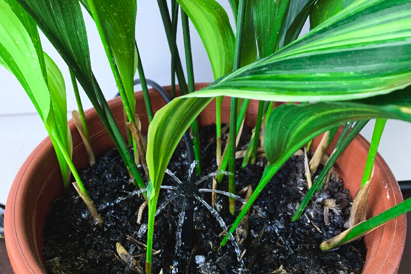 holman-micro-irrigation
