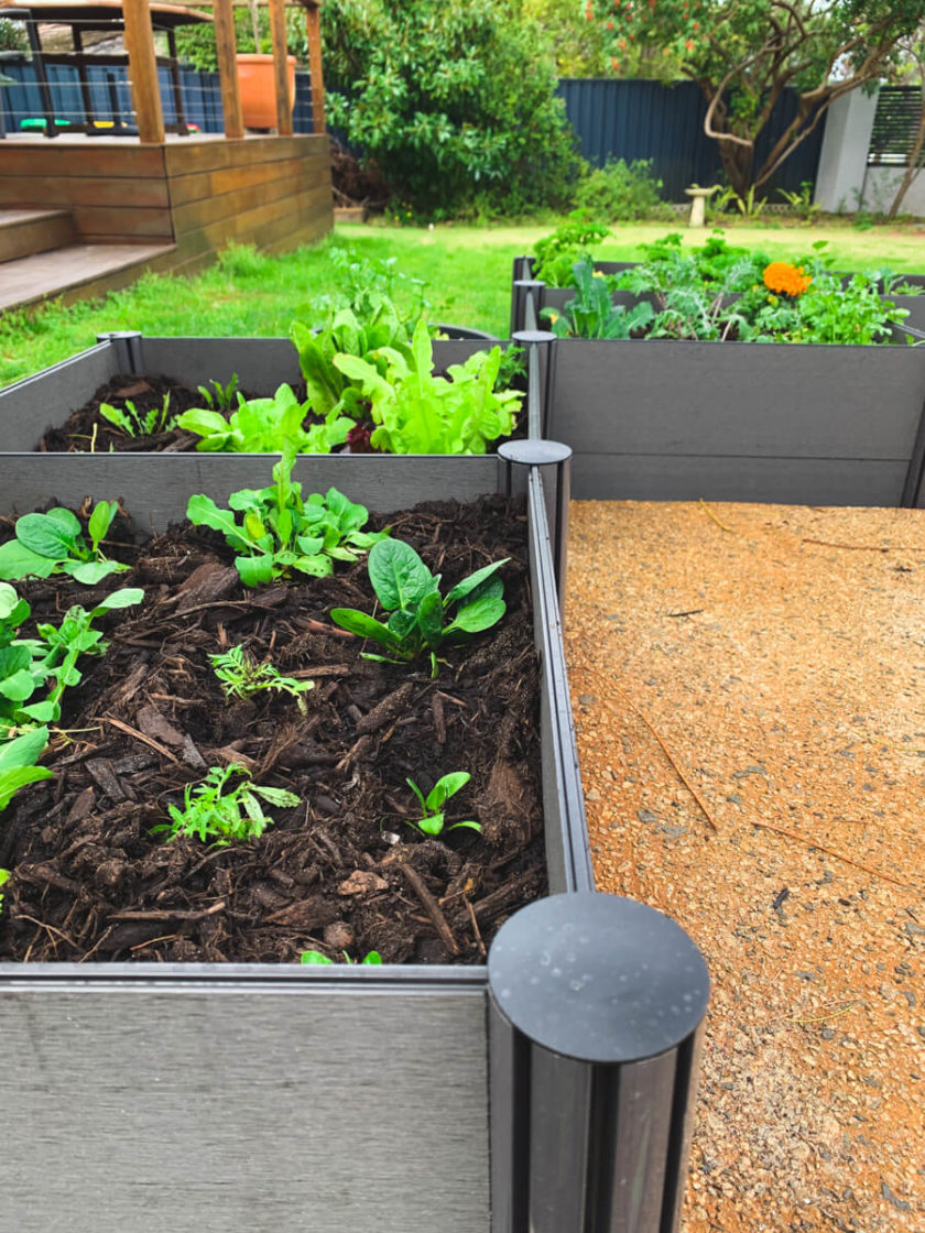 1200 × 600 × 300mm Raised Garden Bed - Image 4