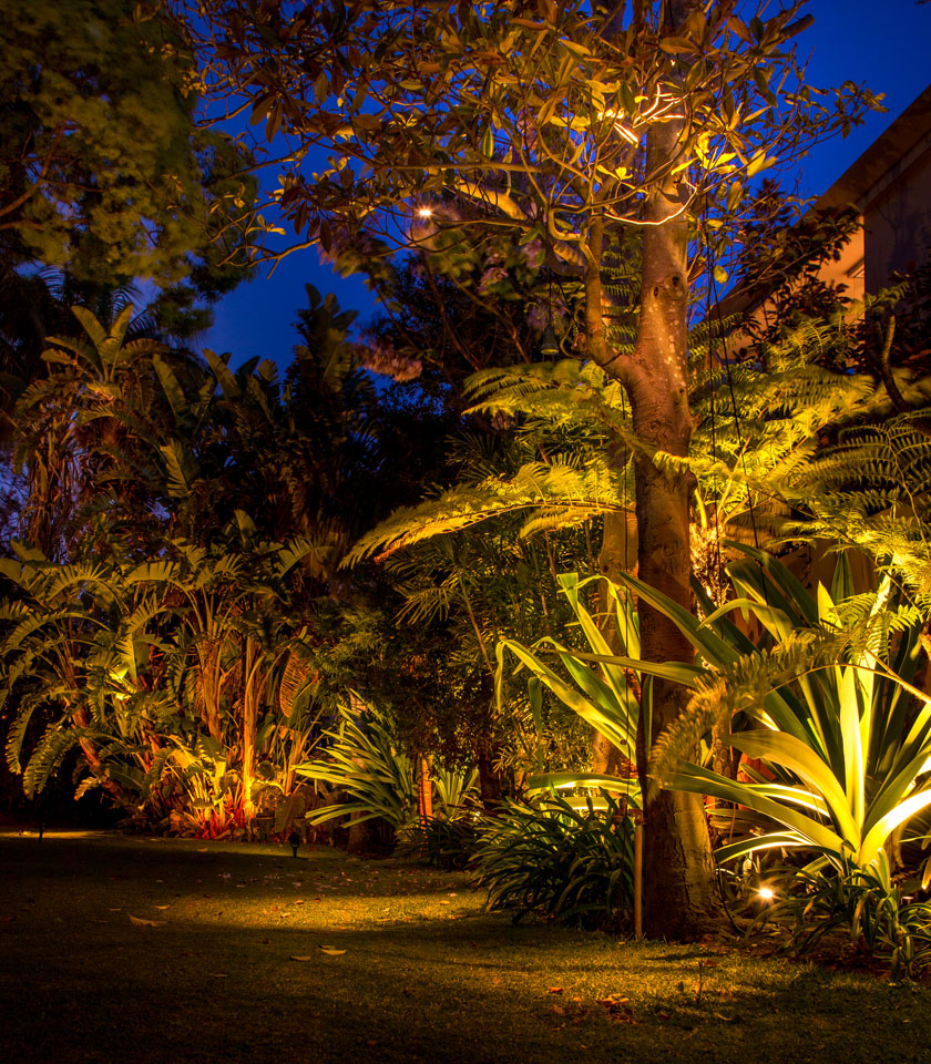 Warm White Bluetooth Garden Light Controller Holman Industries