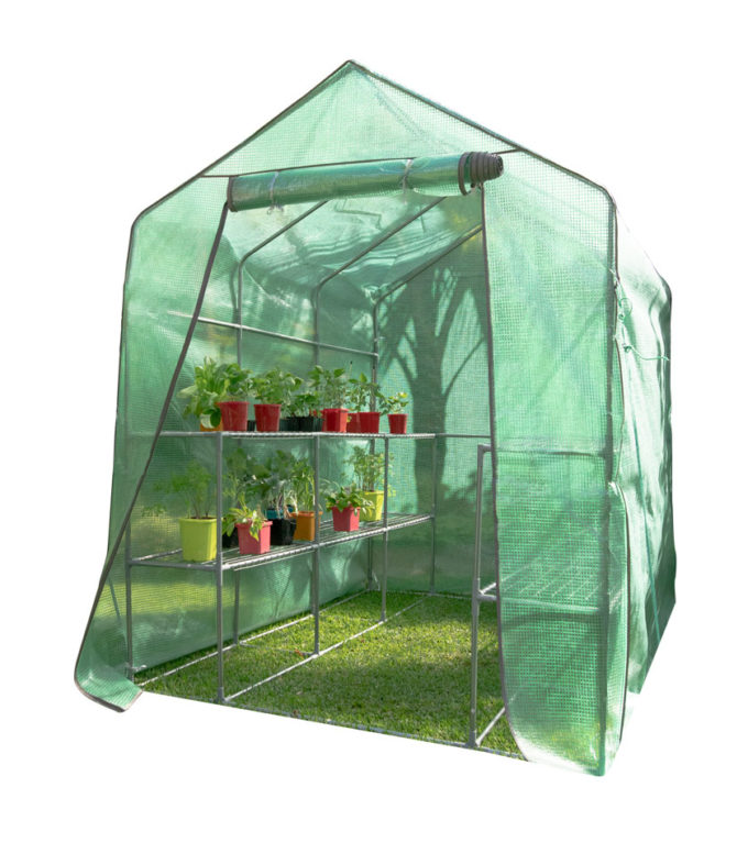 2m-Depth-Walk-In-Greenhouse