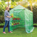 2m-depth-greenhouse
