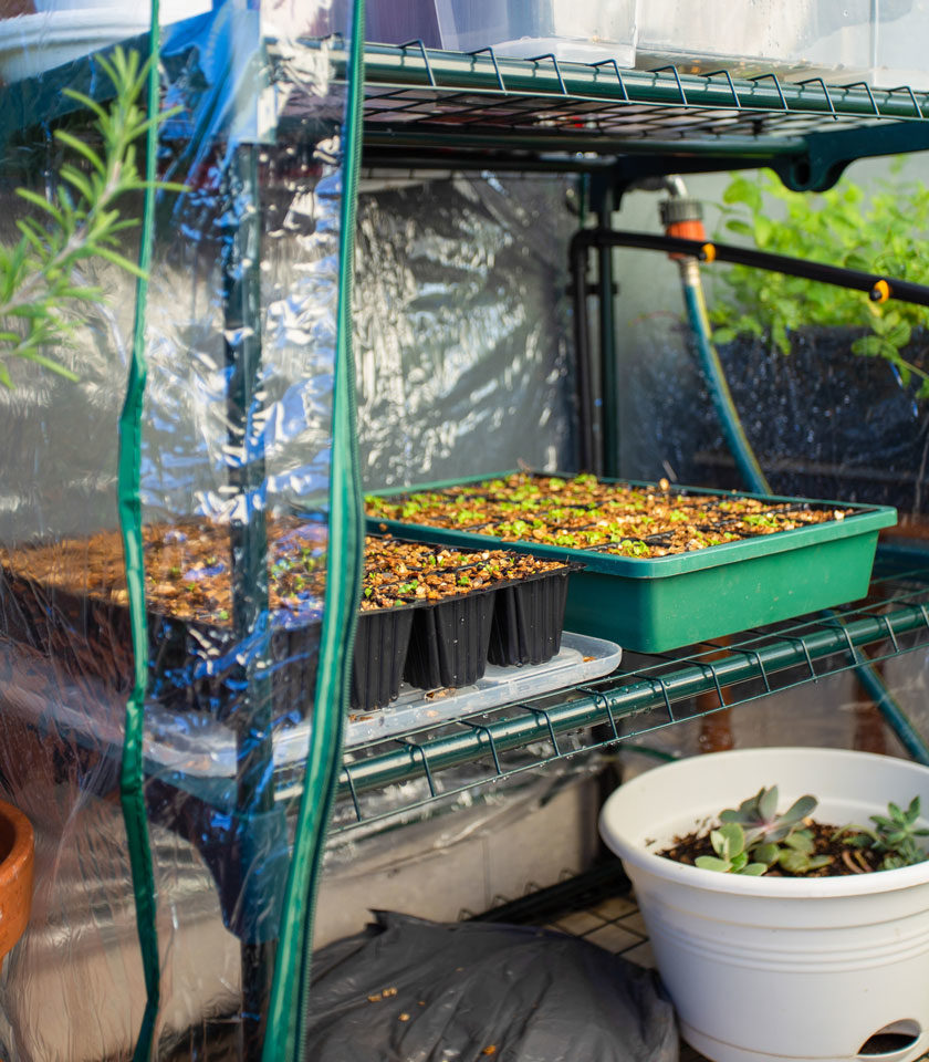 Greenhouses - 4 Tier Greenhouse