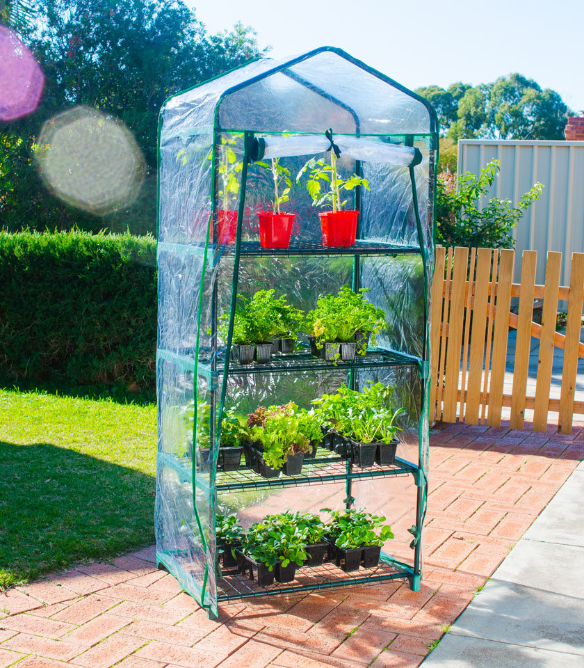 Greenhouses - 4 Tier Greenhouse