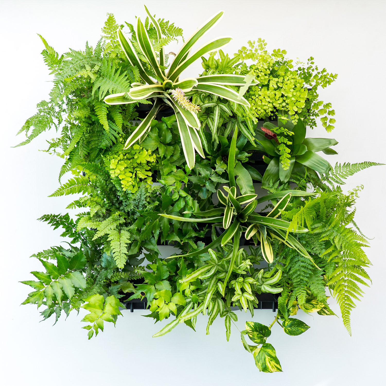 pixel-pot-greenwall