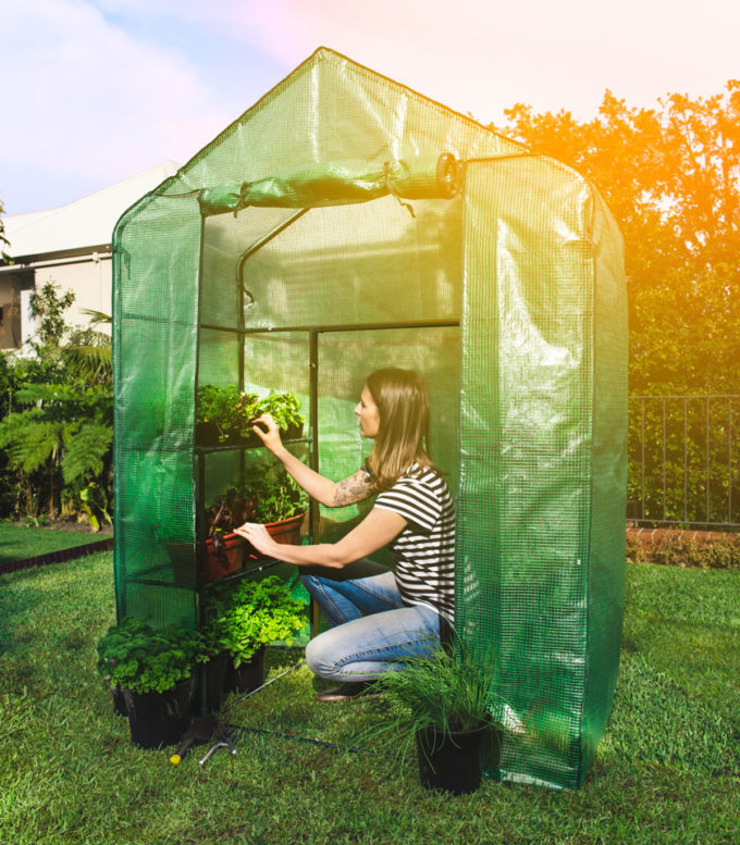 Greenhouses - Walk-in Greenhouse Kit