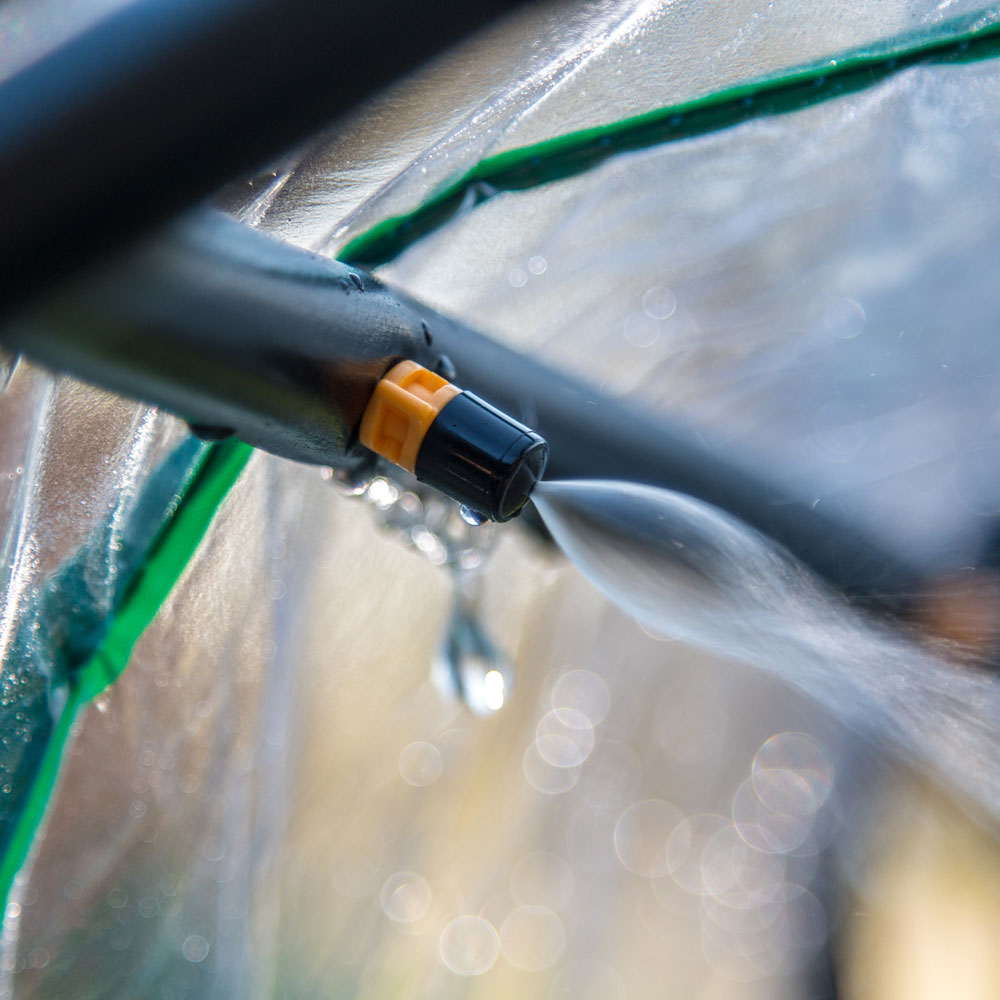 watering your seed trays