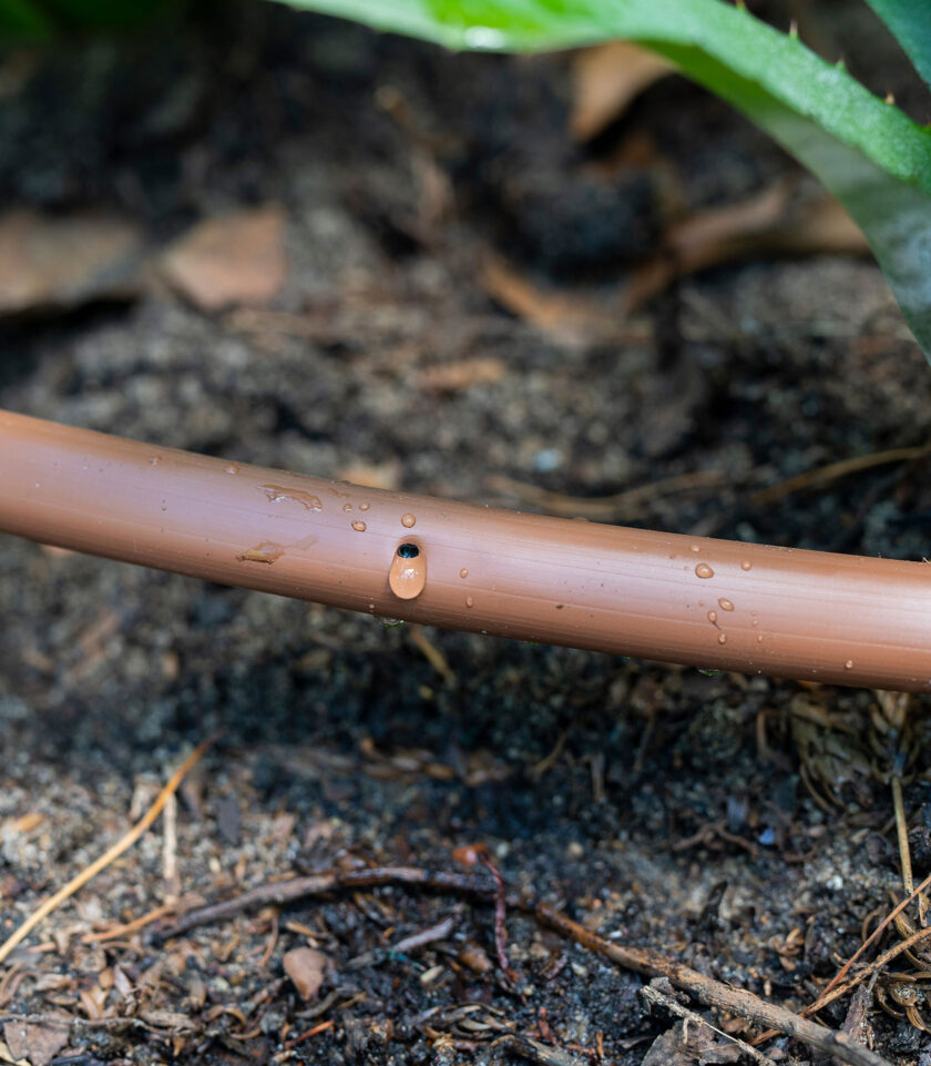 The low pressure tap timer is great for systems using drip tube