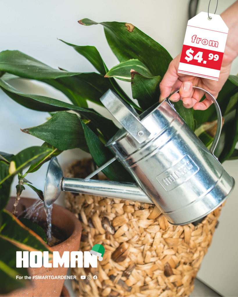 Christmas-Gift-Guide-2020-watering-can