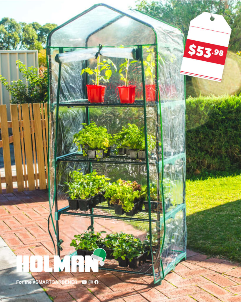 Christmas-Gift-Guide-2020-4-Tier-Greenhouse