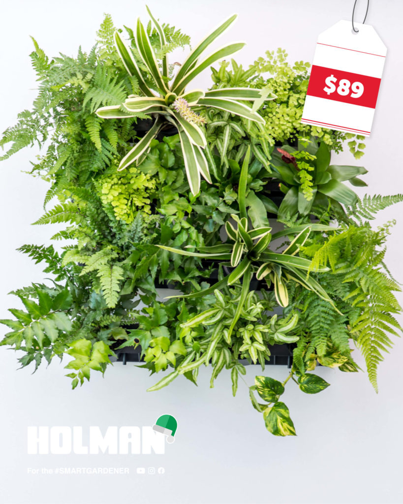 Christmas-Gift-Guide-2020-Pixel-Pot-GreenWall