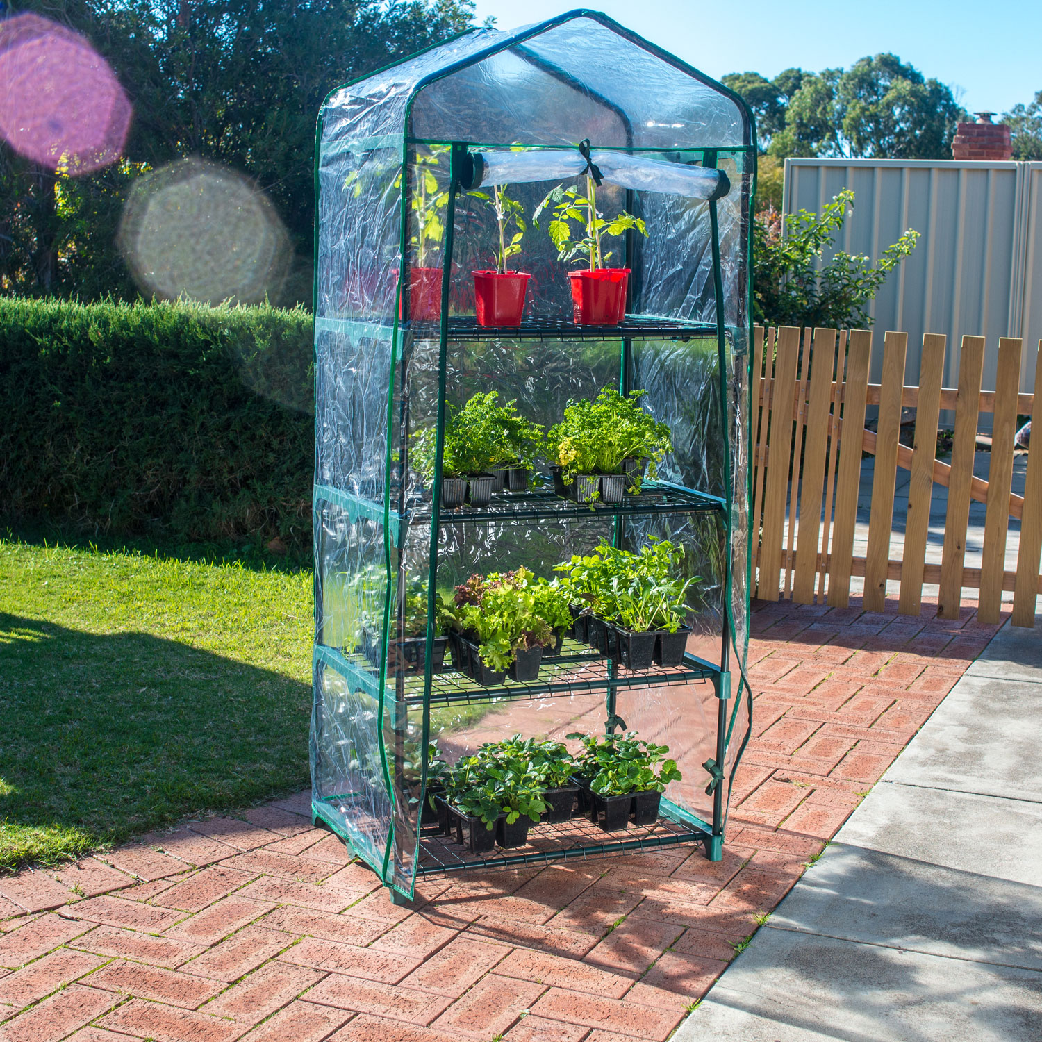 Fathers-Day-Gift-Guide-4-Tier-Greenhouse