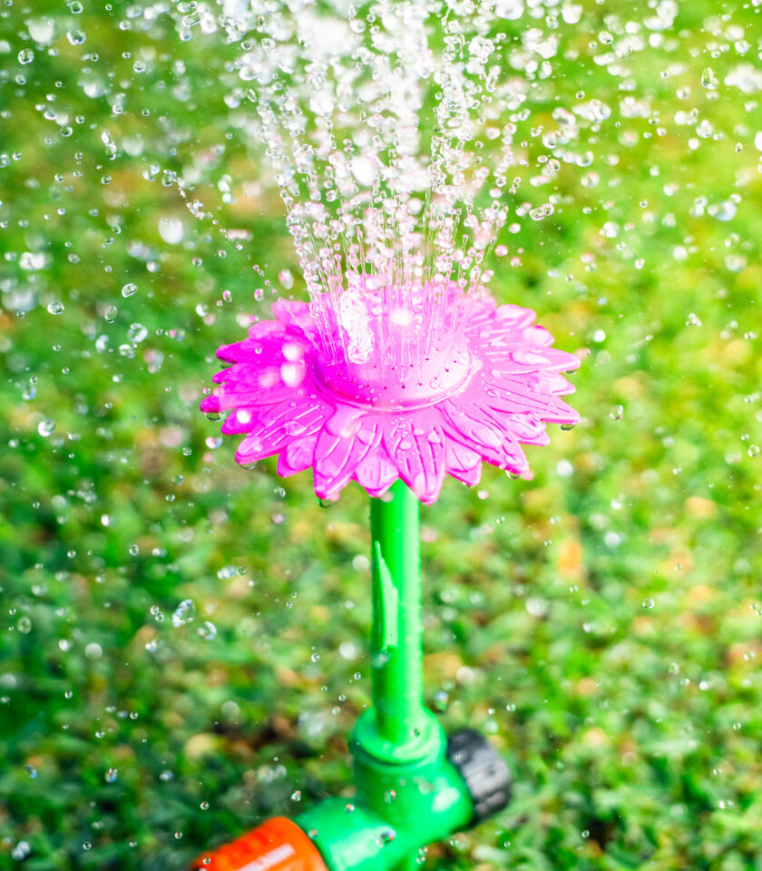 Mini Daisy Sprinkler - Image 5
