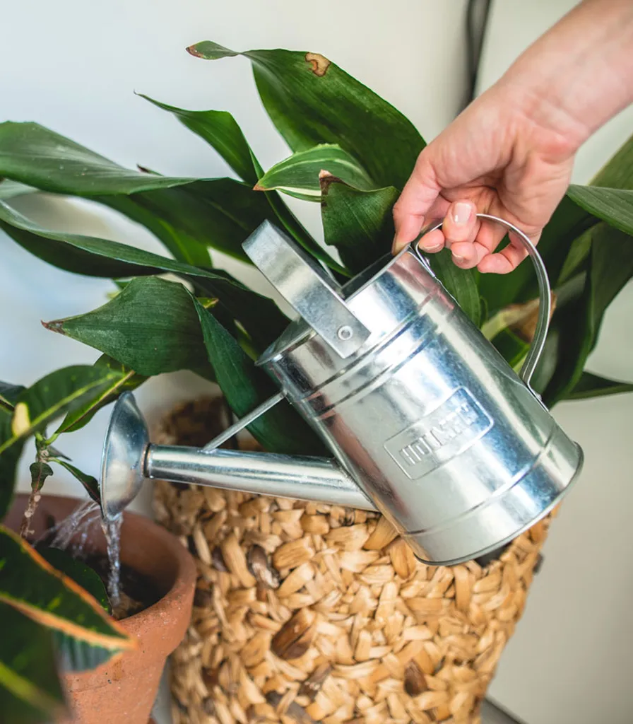 Metal_Watering_Can_1-8