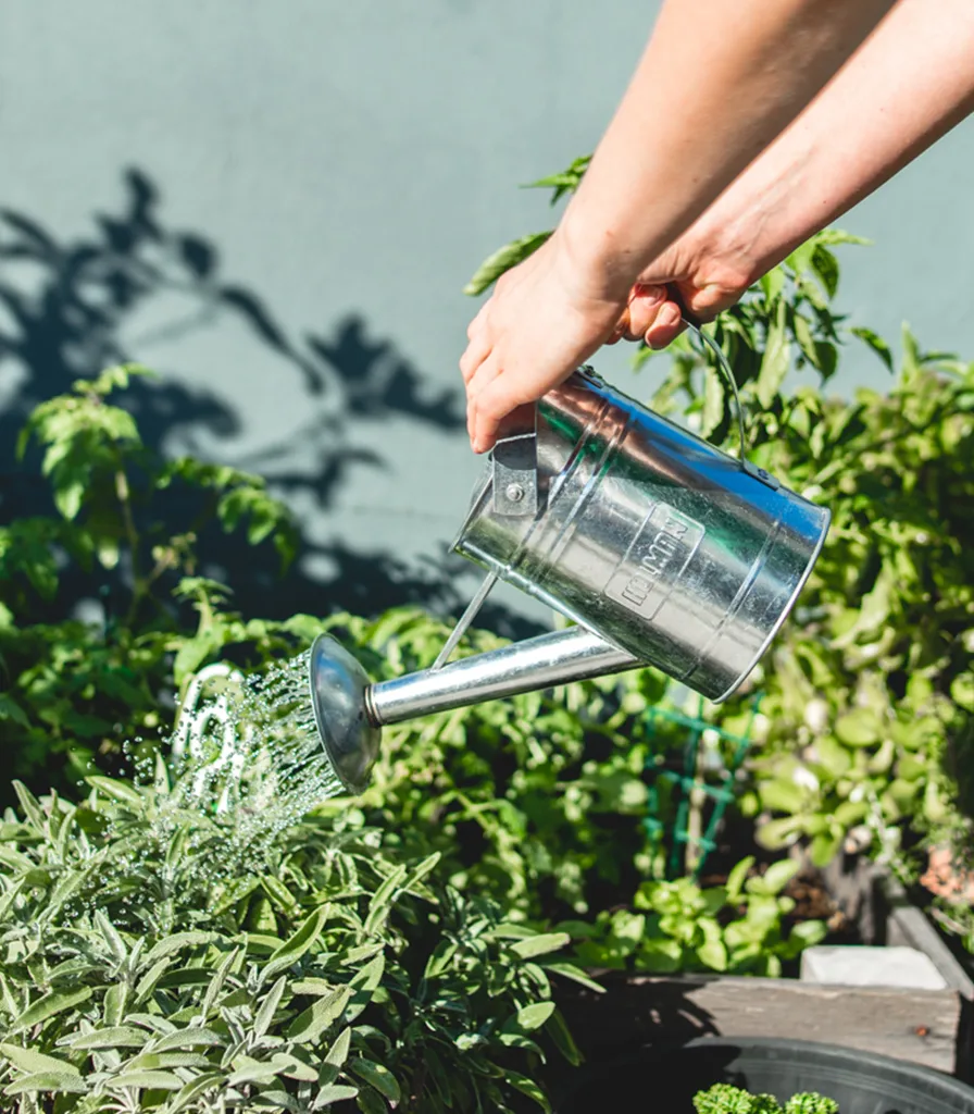Metal_Watering_Can_1-8x2 Metal Watering Can 1.8L