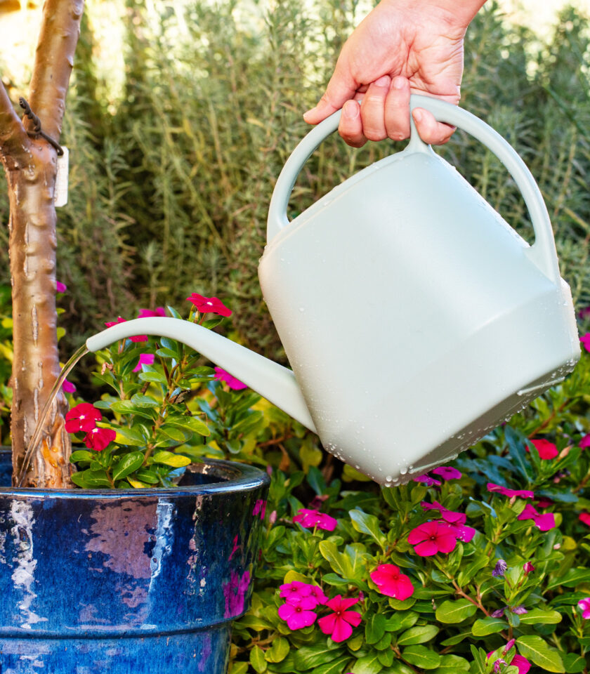 4L ColourDip™ Watering Can — Sage - Image 3