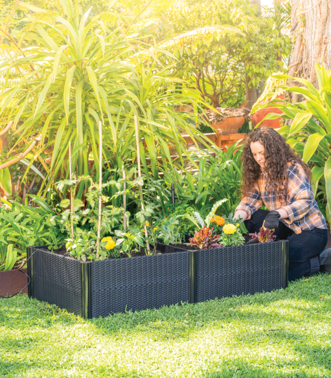 1200 × 600 × 300mm Rattan Raised Garden Bed Holman Industries