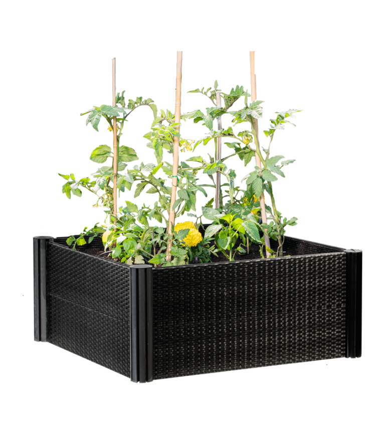 Raised Garden Beds Grow your own Vegetables Holman Industries