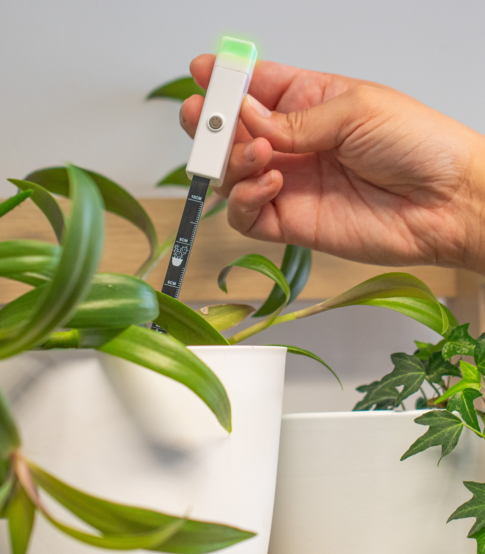 Digital Moisture Sensor - Image 2