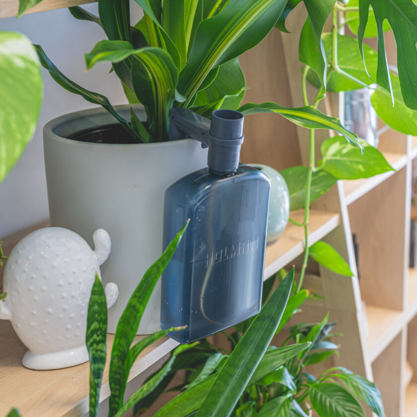 Watermate®  750mL Self Watering Tank - Image 2