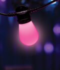 12× Bulb Wi-Fi Festoon Kit - Image 2