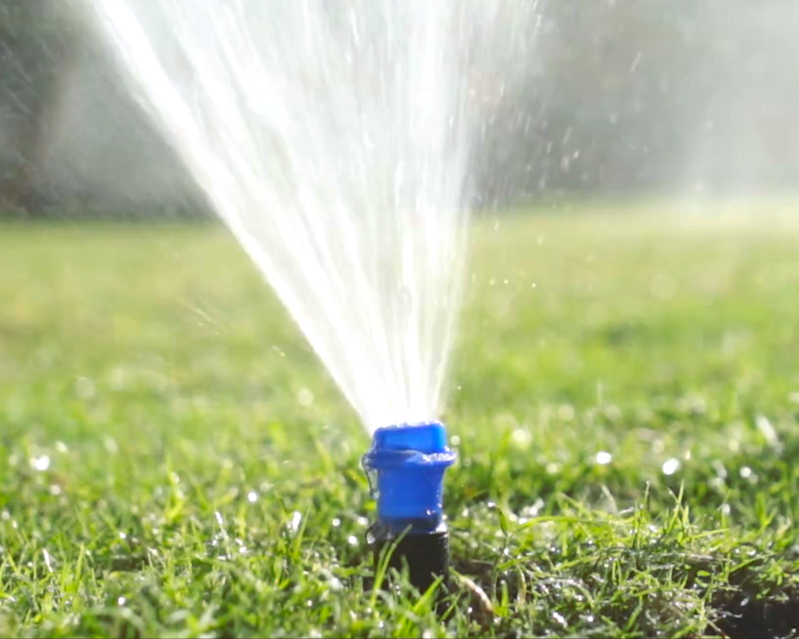 cleaning-pop-up-sprinklers-flush-cap