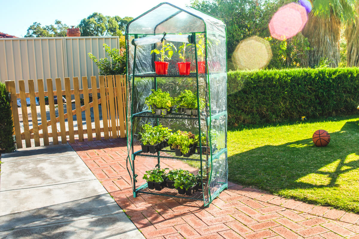 4-tier greenhouse for a Father's Day gift.