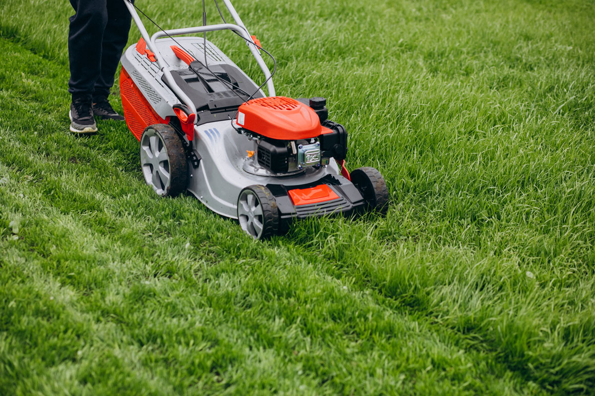 garden-for-winter-mowing-lawn