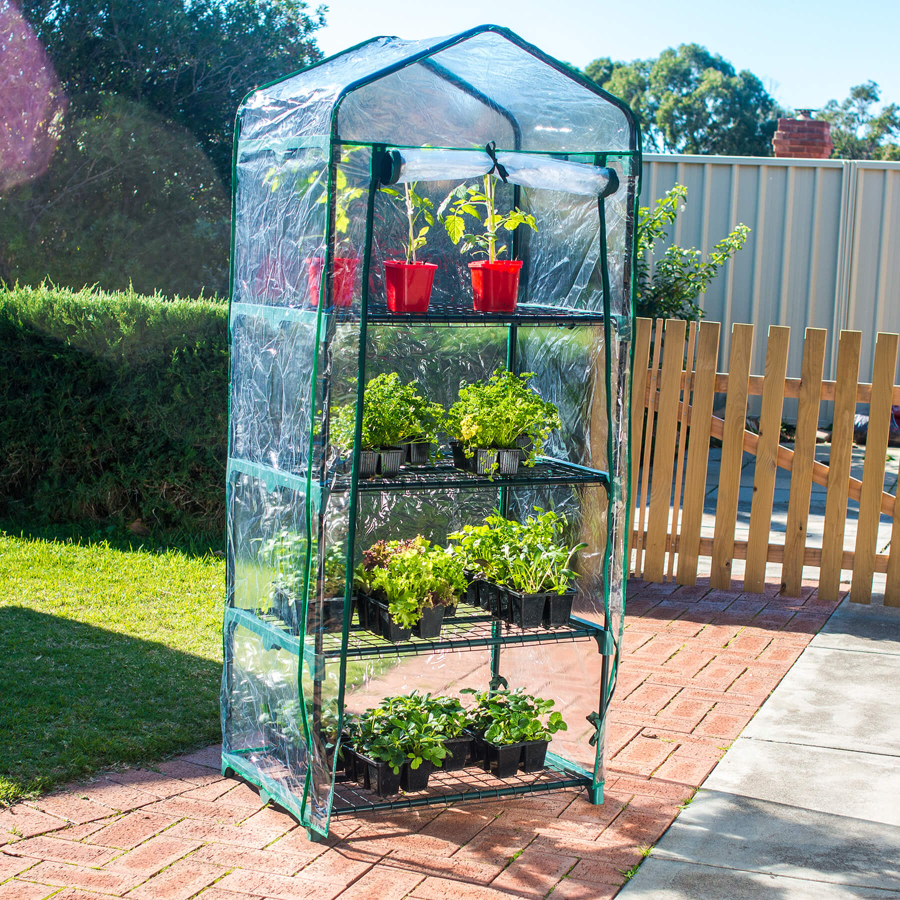 gifts-for-dad-this-fathers-day-greenhouse