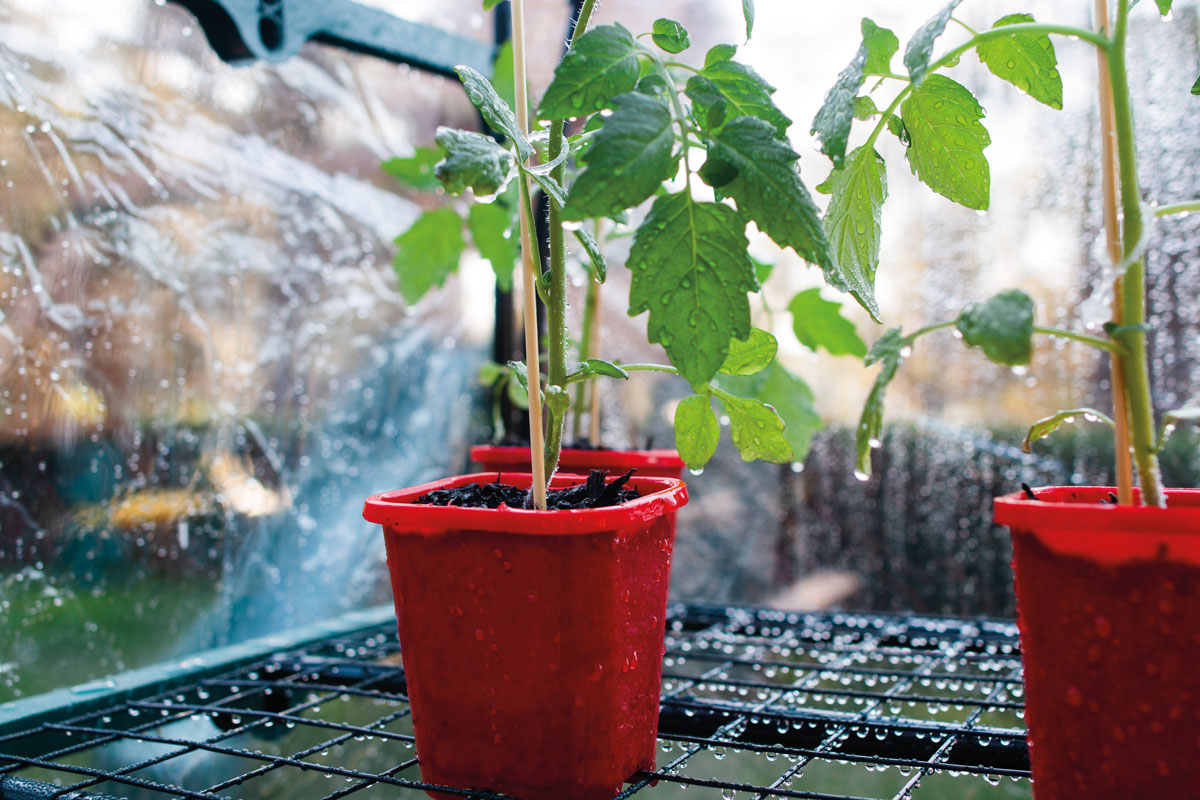 mothers-day-gift-ideas-4-tier-greenhouse