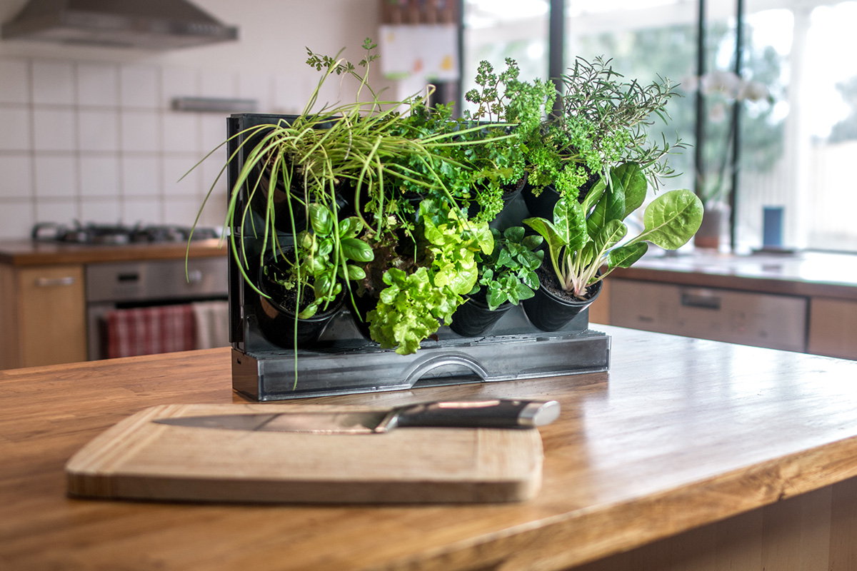 mothers-day-gift-ideas-benchtop-greenwall