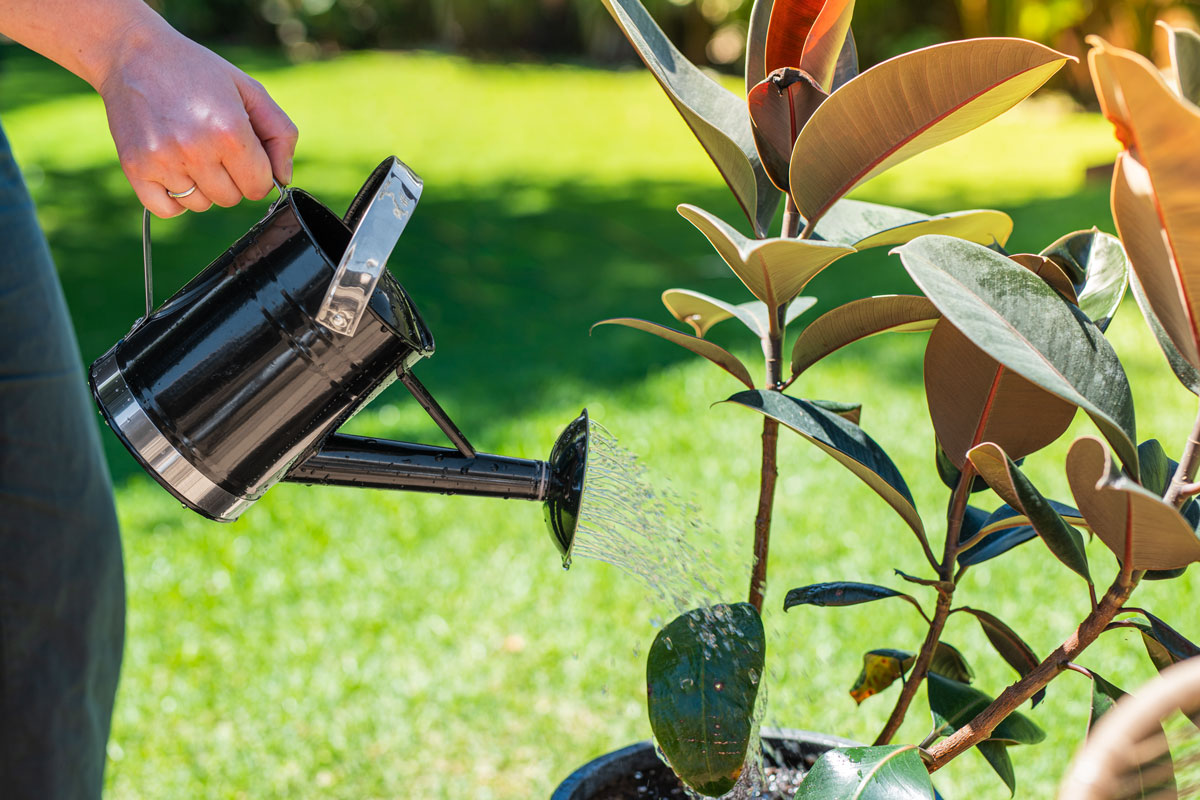 mothers-day-gift-ideas-watering-can-black