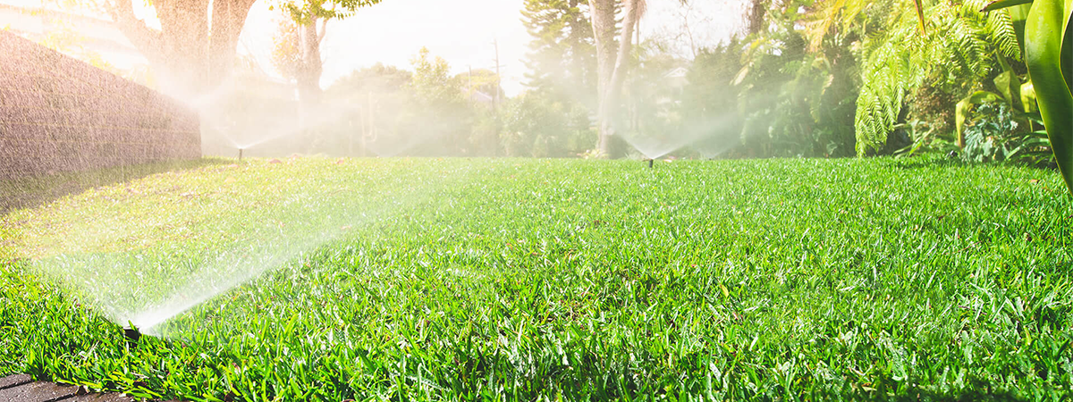 popup-sprinkler-banner popup-sprinkler-banner